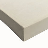 Vintage Animal Art: Kiwi Bird Illustration Art Print