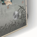 Vintage Animal Art - Ducks in Flight Illustration - Retro Animal Prints