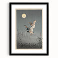 Vintage Animal Art - Ducks in Flight Illustration - Retro Animal Prints