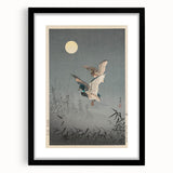 Vintage Animal Art - Ducks in Flight Illustration - Retro Animal Prints