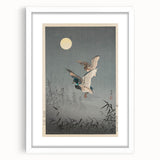 Vintage Animal Art - Ducks in Flight Illustration - Retro Animal Prints