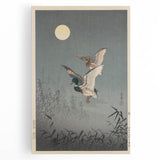 Vintage Animal Art - Ducks in Flight Illustration - Retro Animal Prints
