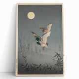 Vintage Animal Art - Ducks in Flight Illustration - Retro Animal Prints