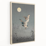Vintage Animal Art - Ducks in Flight Illustration - Retro Animal Prints