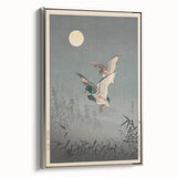 Vintage Animal Art - Ducks in Flight Illustration - Retro Animal Prints
