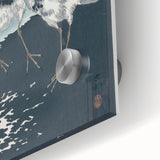 Vintage Animal Art - Shore Birds Illustration - Retro Animal Prints