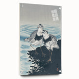 Vintage Animal Art - Shore Birds Illustration - Retro Animal Prints