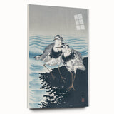 Vintage Animal Art - Shore Birds Illustration - Retro Animal Prints