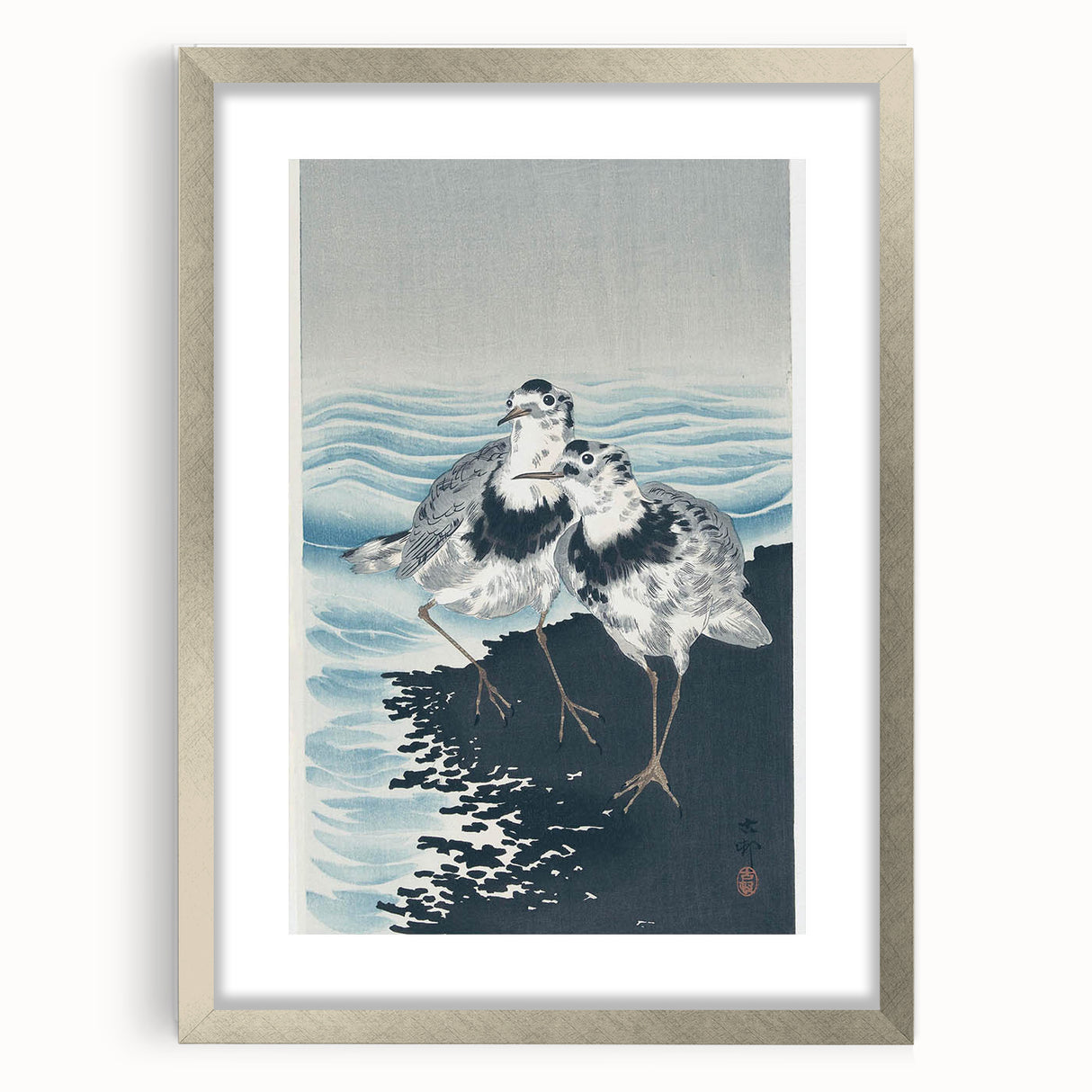 Vintage Animal Art - Shore Birds Illustration - Retro Animal Prints