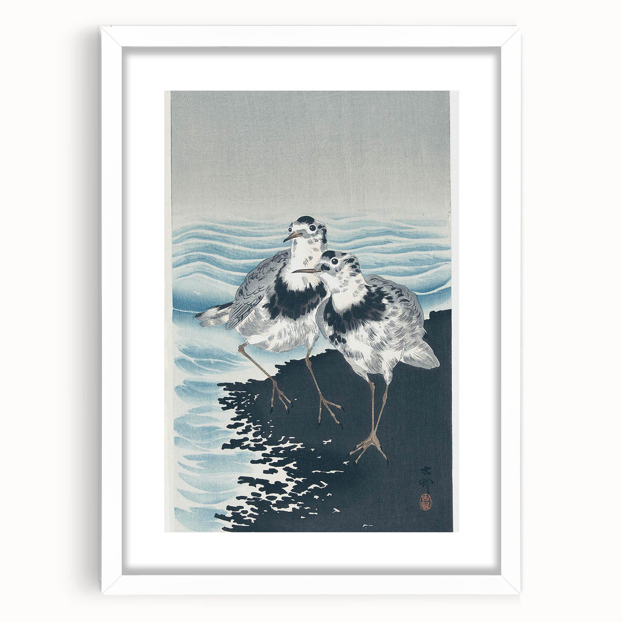 Vintage Animal Art - Shore Birds Illustration - Retro Animal Prints