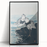 Vintage Animal Art - Shore Birds Illustration - Retro Animal Prints