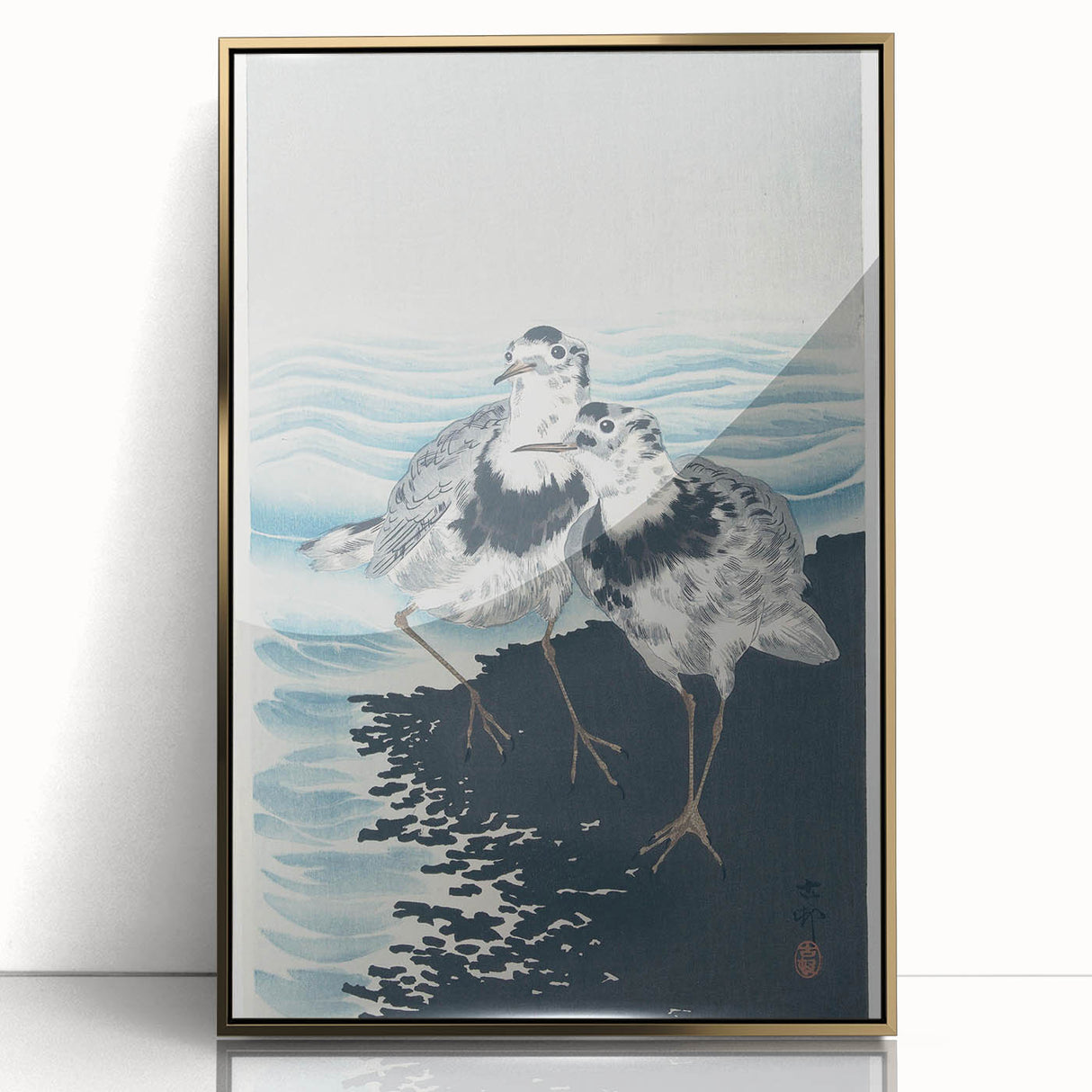 Vintage Animal Art - Shore Birds Illustration - Retro Animal Prints