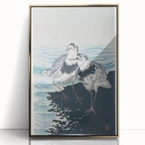 Vintage Animal Art - Shore Birds Illustration - Retro Animal Prints