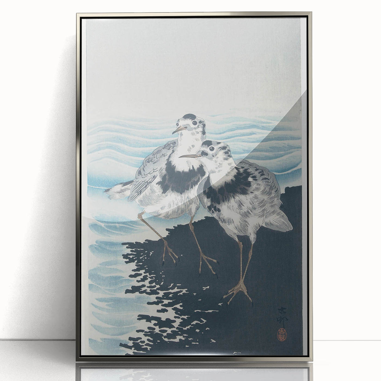 Vintage Animal Art - Shore Birds Illustration - Retro Animal Prints