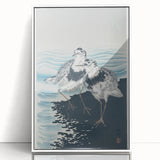 Vintage Animal Art - Shore Birds Illustration - Retro Animal Prints