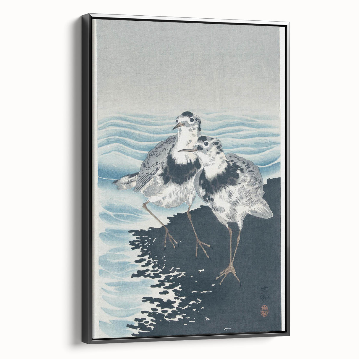 Vintage Animal Art - Shore Birds Illustration - Retro Animal Prints