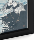 Vintage Animal Art - Shore Birds Illustration - Retro Animal Prints