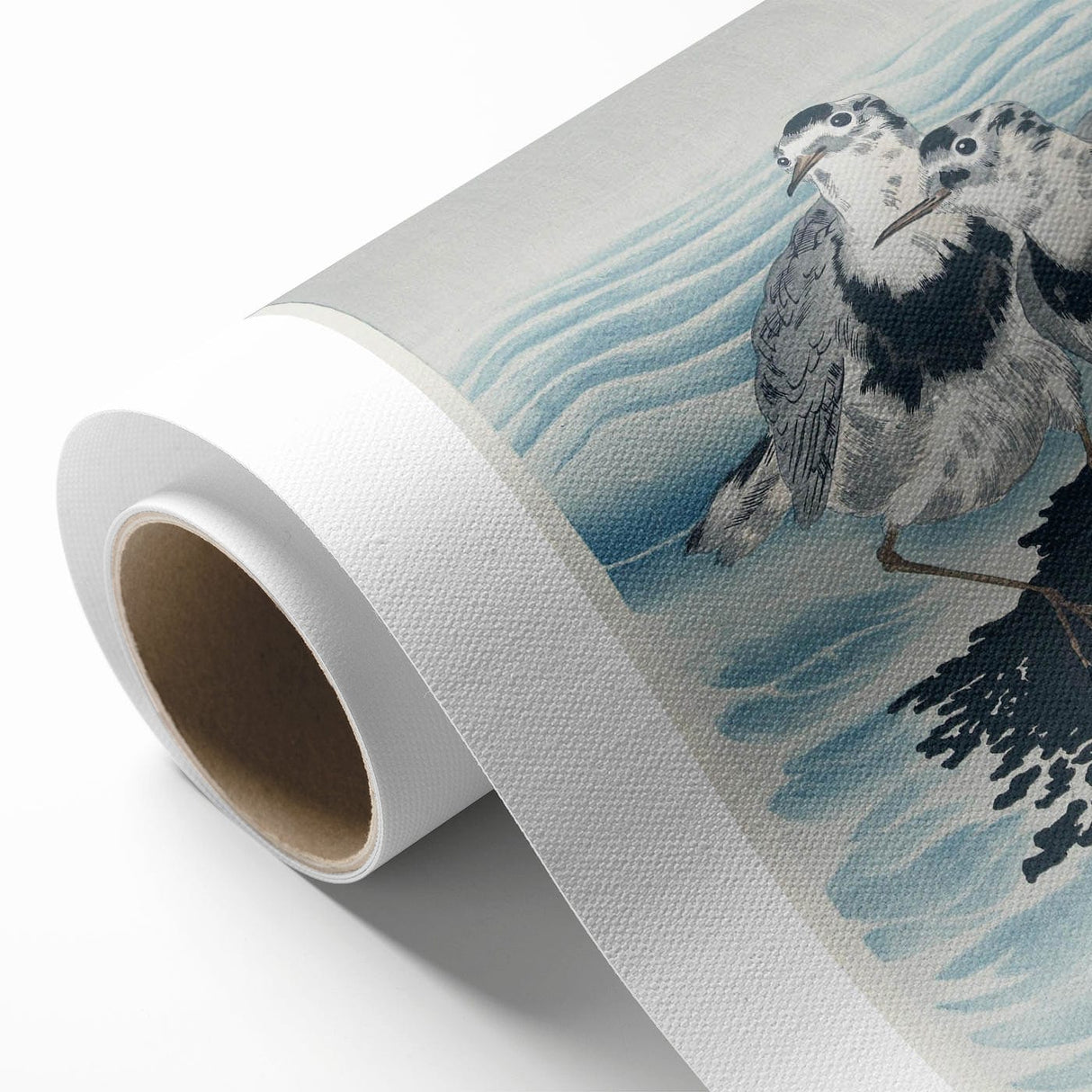 Vintage Animal Art - Shore Birds Illustration - Retro Animal Prints