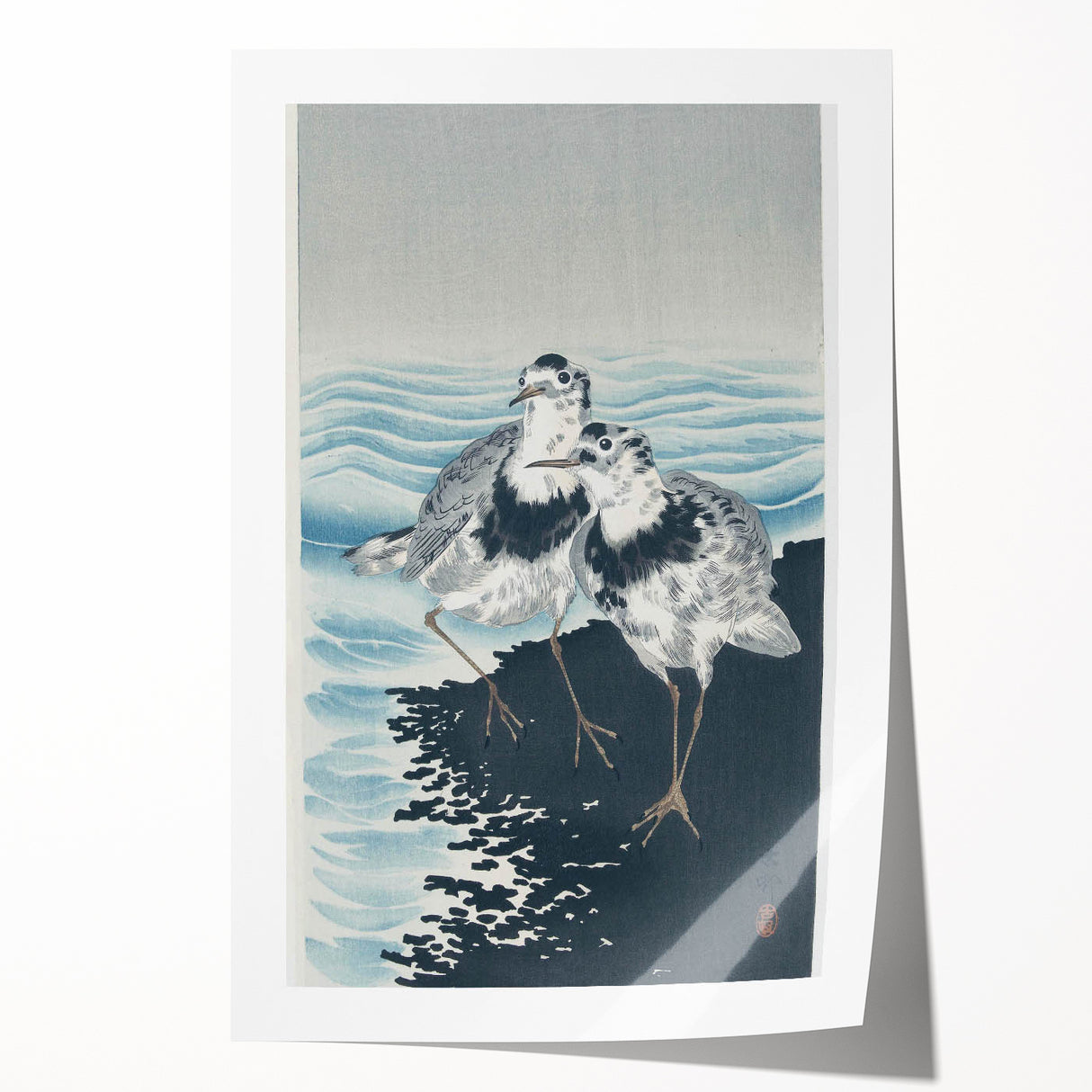 Vintage Animal Art - Shore Birds Illustration - Retro Animal Prints