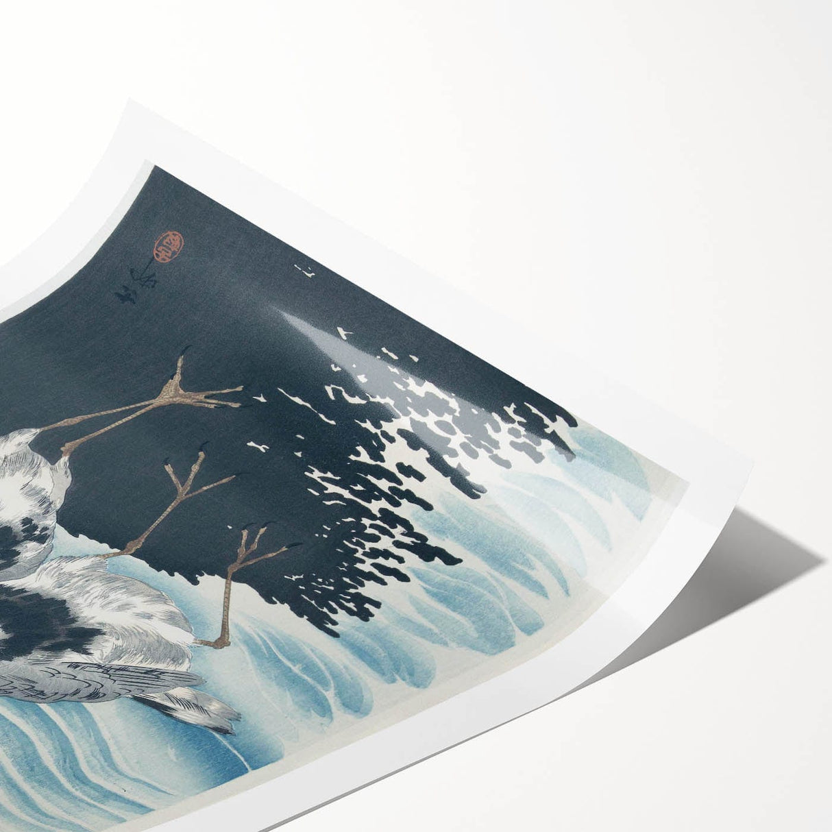 Vintage Animal Art - Shore Birds Illustration - Retro Animal Prints
