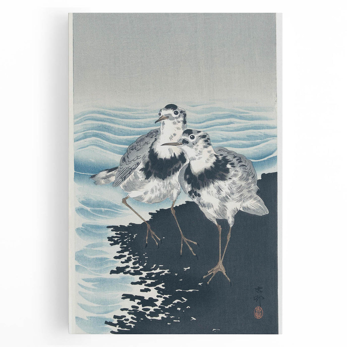 Vintage Animal Art - Shore Birds Illustration - Retro Animal Prints