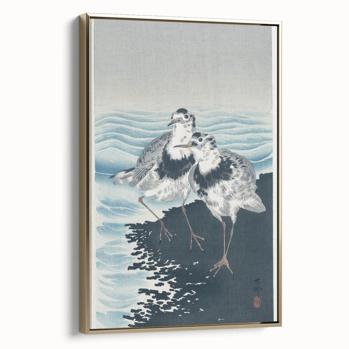 Vintage Animal Art - Shore Birds Illustration - Retro Animal Prints