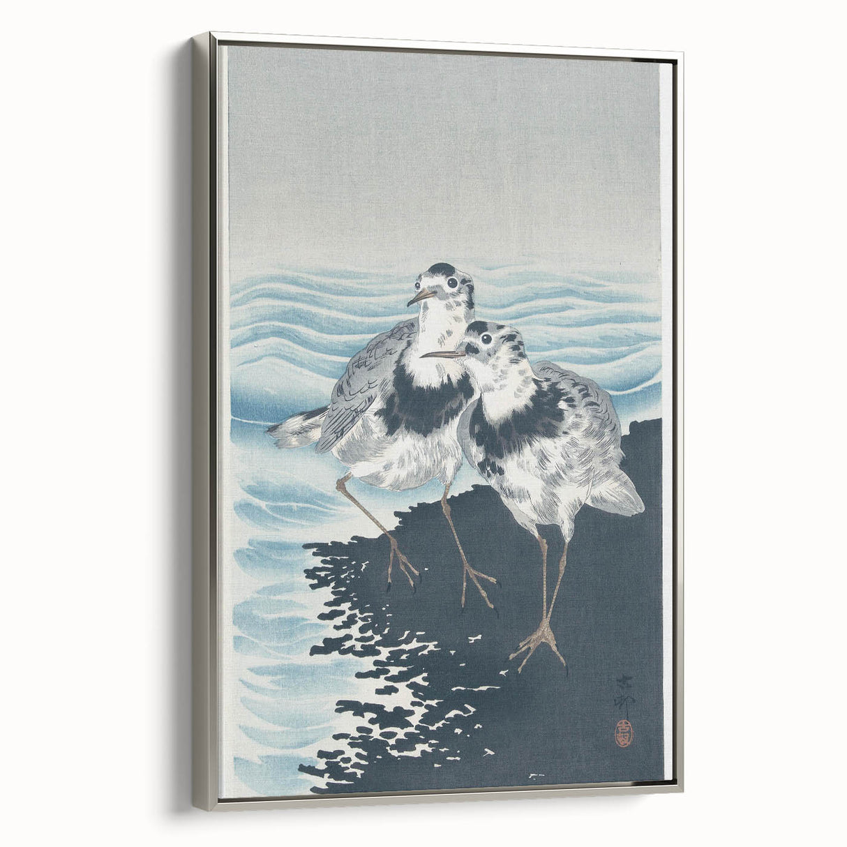 Vintage Animal Art - Shore Birds Illustration - Retro Animal Prints