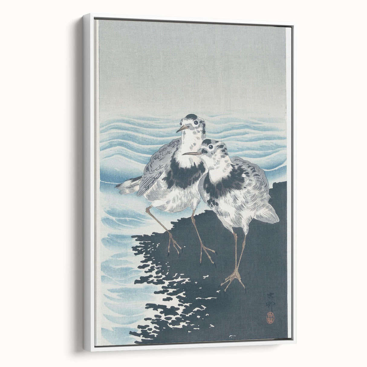 Vintage Animal Art - Shore Birds Illustration - Retro Animal Prints