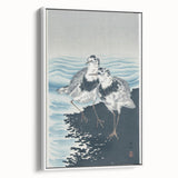 Vintage Animal Art - Shore Birds Illustration - Retro Animal Prints
