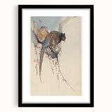 Vintage Animal Art - Birds Perched on Blossom Branch - Retro Animal Prints