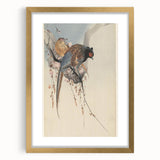 Vintage Animal Art - Birds Perched on Blossom Branch - Retro Animal Prints