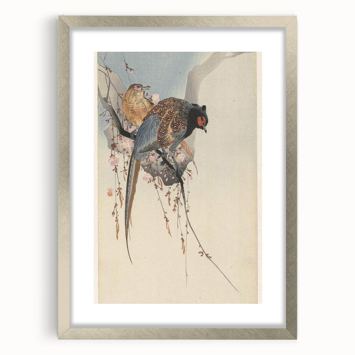 Vintage Animal Art - Birds Perched on Blossom Branch - Retro Animal Prints