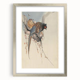 Vintage Animal Art - Birds Perched on Blossom Branch - Retro Animal Prints