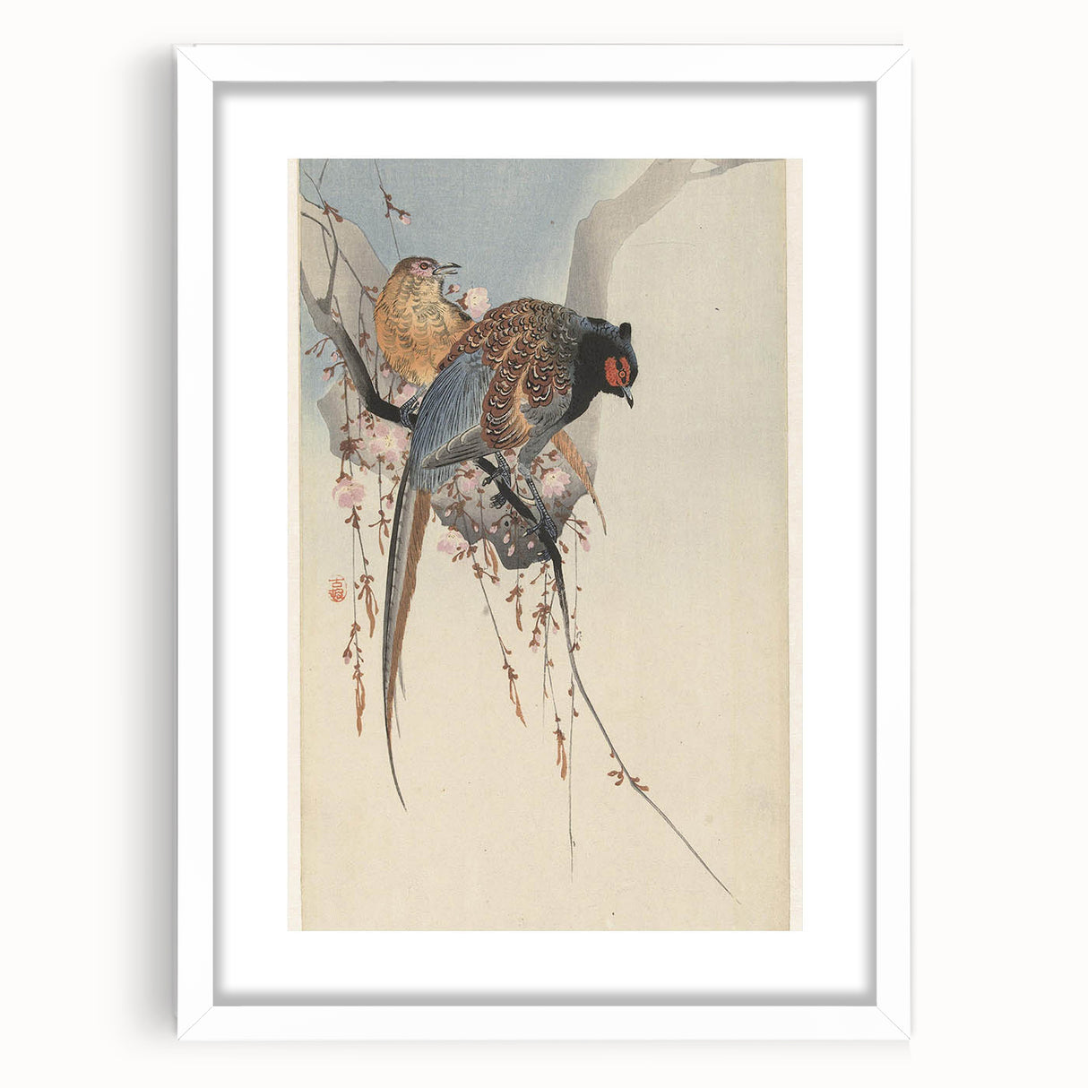 Vintage Animal Art - Birds Perched on Blossom Branch - Retro Animal Prints