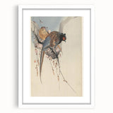 Vintage Animal Art - Birds Perched on Blossom Branch - Retro Animal Prints