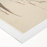 Vintage Animal Art - Birds Perched on Blossom Branch - Retro Animal Prints