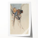 Vintage Animal Art - Birds Perched on Blossom Branch - Retro Animal Prints