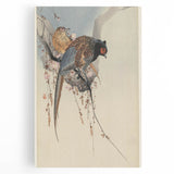 Vintage Animal Art - Birds Perched on Blossom Branch - Retro Animal Prints