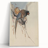 Vintage Animal Art - Birds Perched on Blossom Branch - Retro Animal Prints