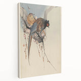 Vintage Animal Art - Birds Perched on Blossom Branch - Retro Animal Prints