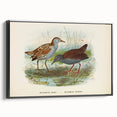 Vintage Animal Art: Bird Illustration Art Print