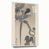 Vintage Animal Art - Perched Bird on Branch - Retro Animal Prints