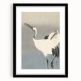 Vintage Animal Art - Cranes in Graceful Stance - Retro Animal Prints