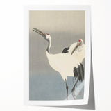 Vintage Animal Art - Cranes in Graceful Stance - Retro Animal Prints