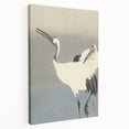 Vintage Animal Art - Cranes in Graceful Stance - Retro Animal Prints