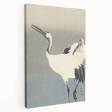 Vintage Animal Art - Cranes in Graceful Stance - Retro Animal Prints