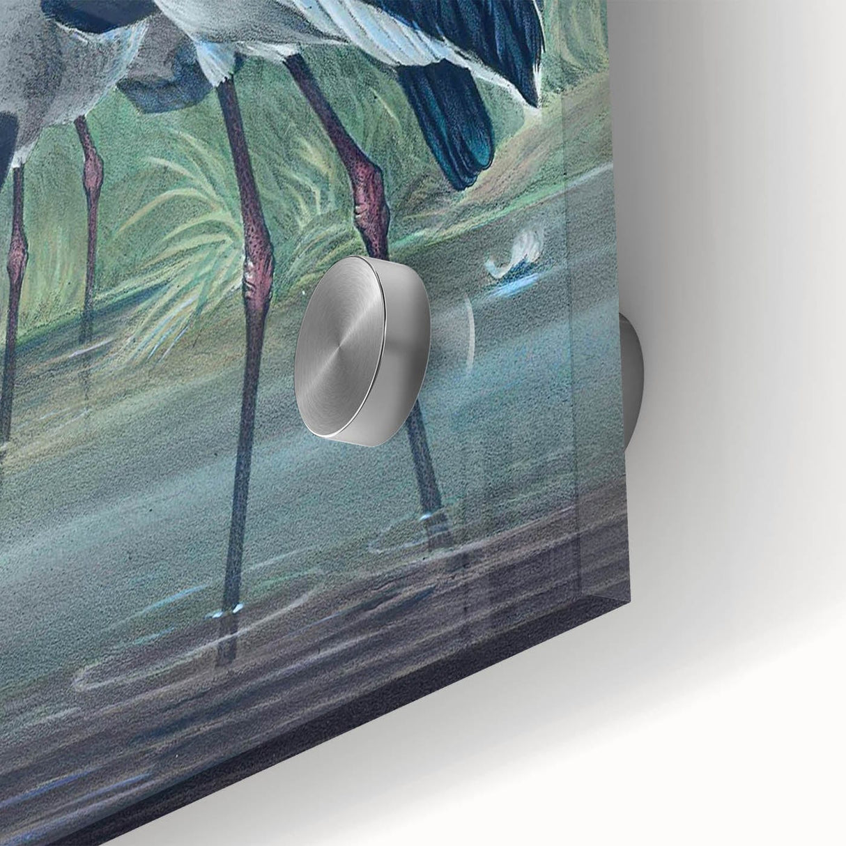 Vintage Animal Art - Storks in Nature - Retro Animal Prints