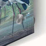 Vintage Animal Art - Storks in Nature - Retro Animal Prints