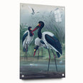 Vintage Animal Art - Storks in Nature - Retro Animal Prints