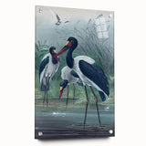 Vintage Animal Art - Storks in Nature - Retro Animal Prints